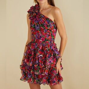 NWT Amur Floral One Shoulder Mini Dress sz 14